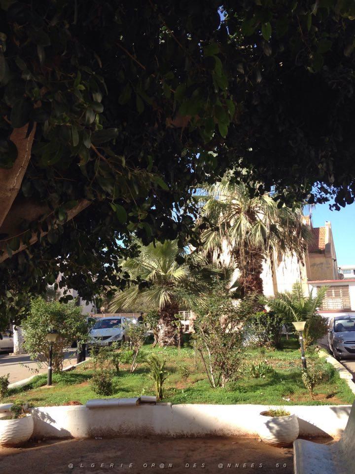 ORAN HOPITAL CIVIL (3).jpg